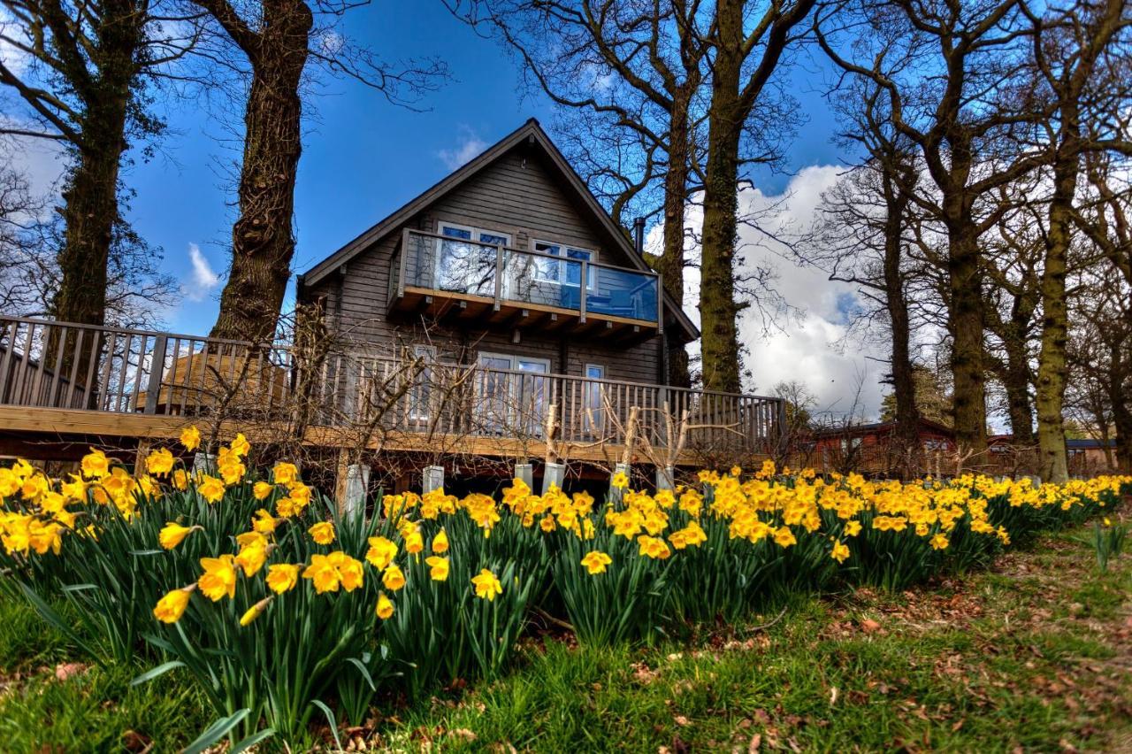 Ilodge Ultra Louth  Bagian luar foto