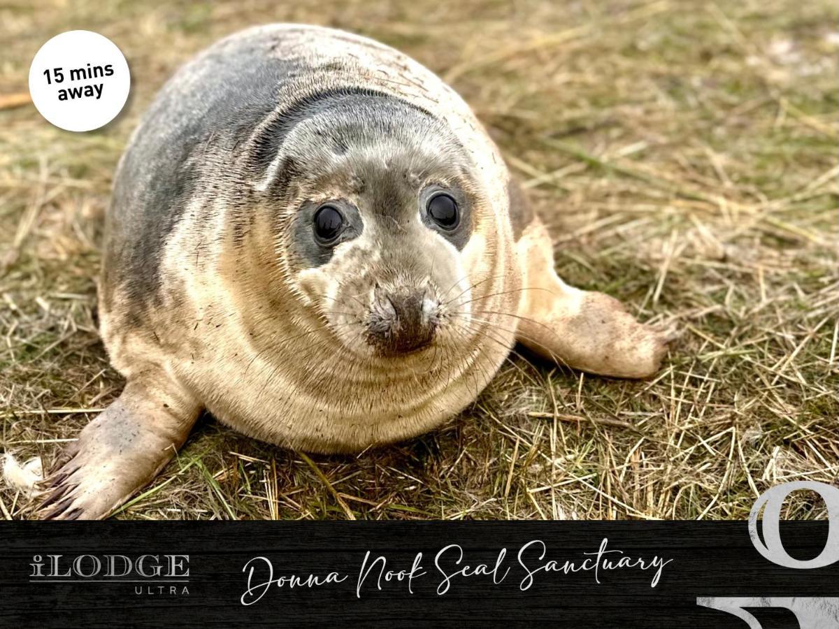 Ilodge Ultra Louth  Bagian luar foto